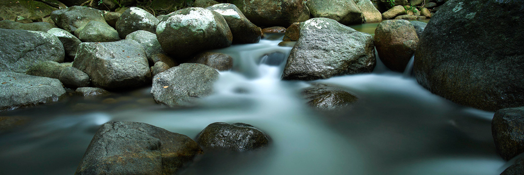 Tai Chi Minneapolis Natural Step Tai Chi for Wellbeing